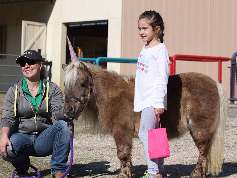 Girl with pink bag, woman kneeling and brown mini horse with unicorn hat
