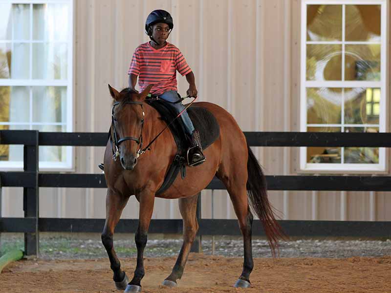 Boy in black helmet riding horse in ring