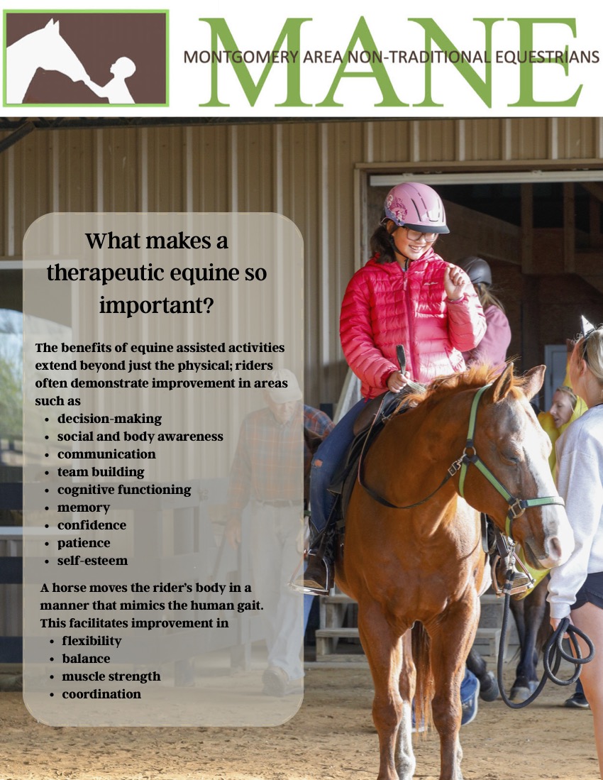 What makes a therapetic equine so important