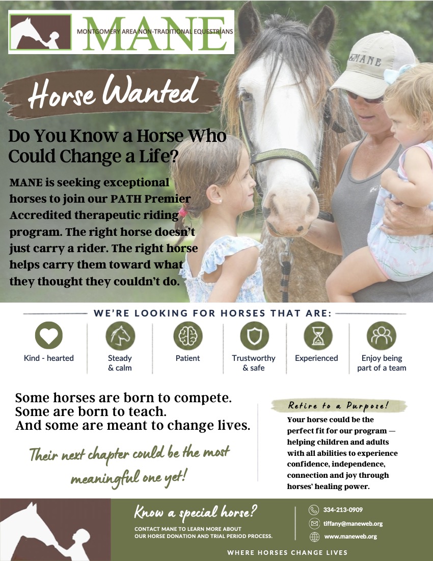 horse wanted flyer